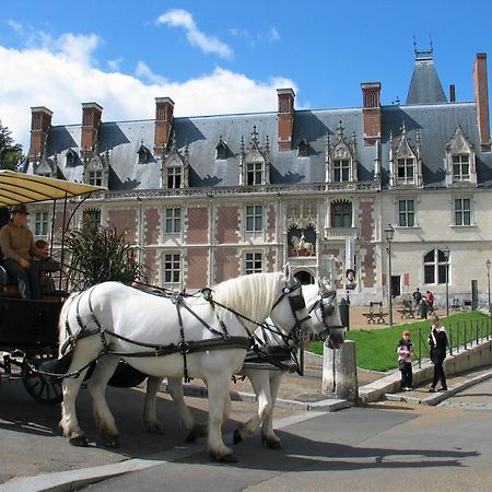Blois City - Le Petit Saint Jean Exterior photo