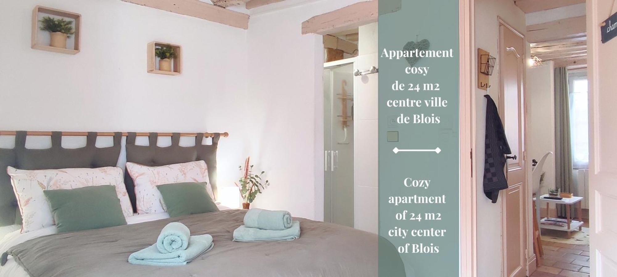 Blois City - Le Petit Saint Jean Exterior photo